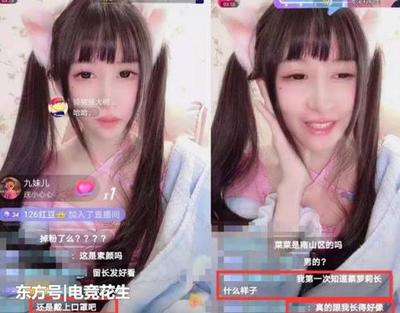 白莲花掉马以后
