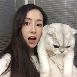 念奴娇·赤壁怀古